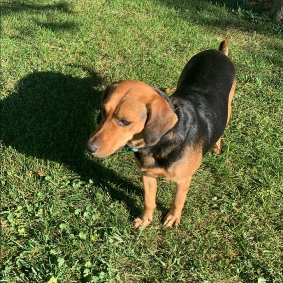 Meet your Posher, Alyssa - Picture 1 of 1